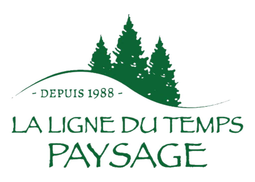 la ligne du temps logo
